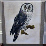 A02a. Framed owl print. 
